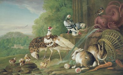 Birds and Rabbits by Pieter Casteels